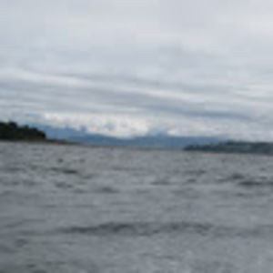 Meet your Posher, Rob